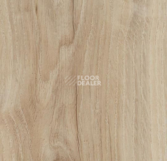 Кварцвиниловые полы Forbo Allura Click Pro 60305CL5 light honey oak фото 1 | FLOORDEALER